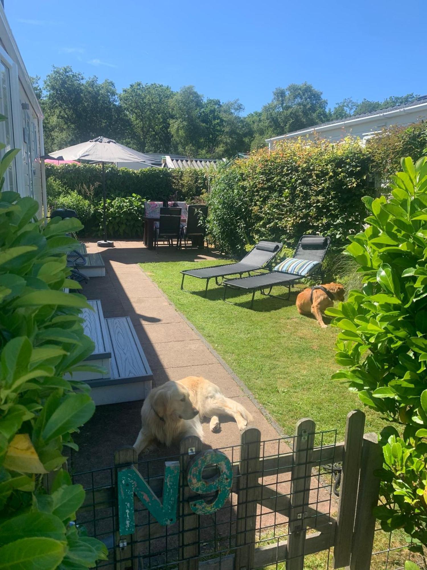 N 9Strandnahes, Hunde-Familienfreundliches Ferienhaus 칼란트소그 외부 사진