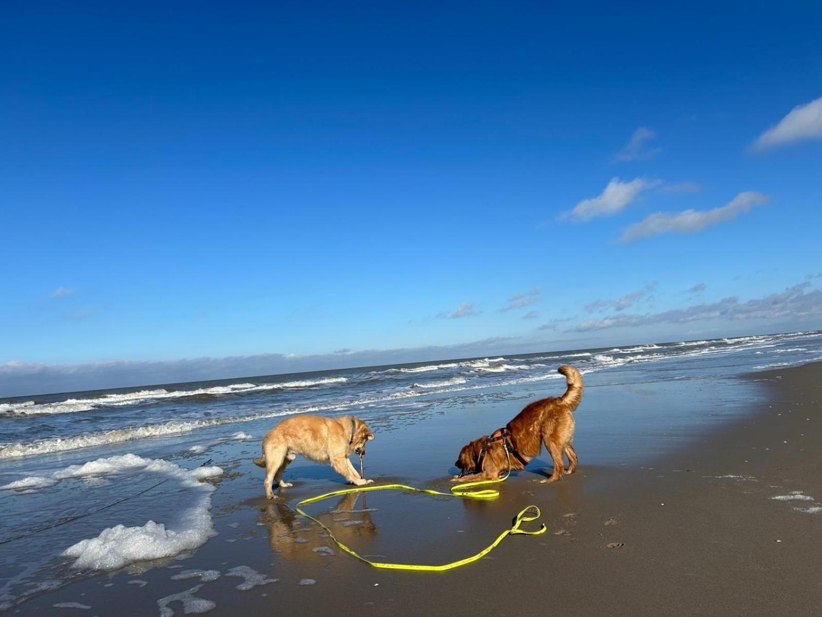 N 9Strandnahes, Hunde-Familienfreundliches Ferienhaus 칼란트소그 외부 사진