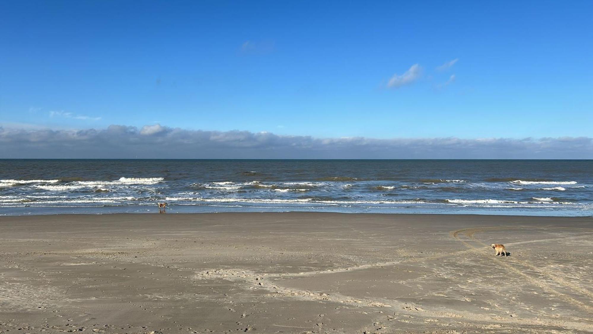 N 9Strandnahes, Hunde-Familienfreundliches Ferienhaus 칼란트소그 외부 사진